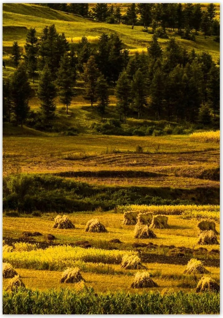 Poszterek 70x100 Tájkép Látvány