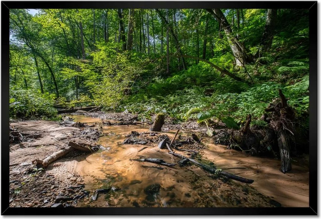 Poszterek keretben 60x40 Folyó Trópusi erdő