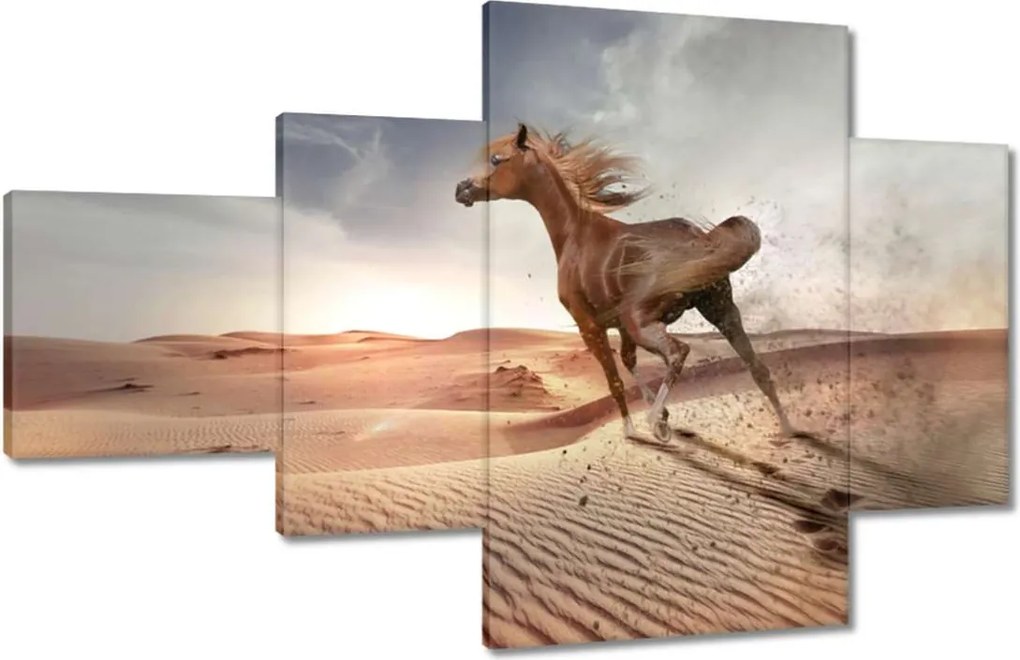 Képek 130x80 Galoppozó ló