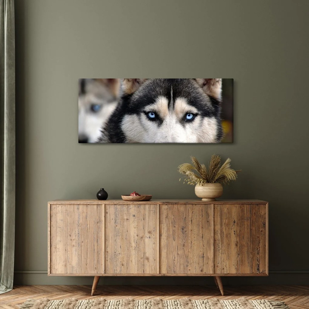 Husky kutya kép (120x50 cm)
