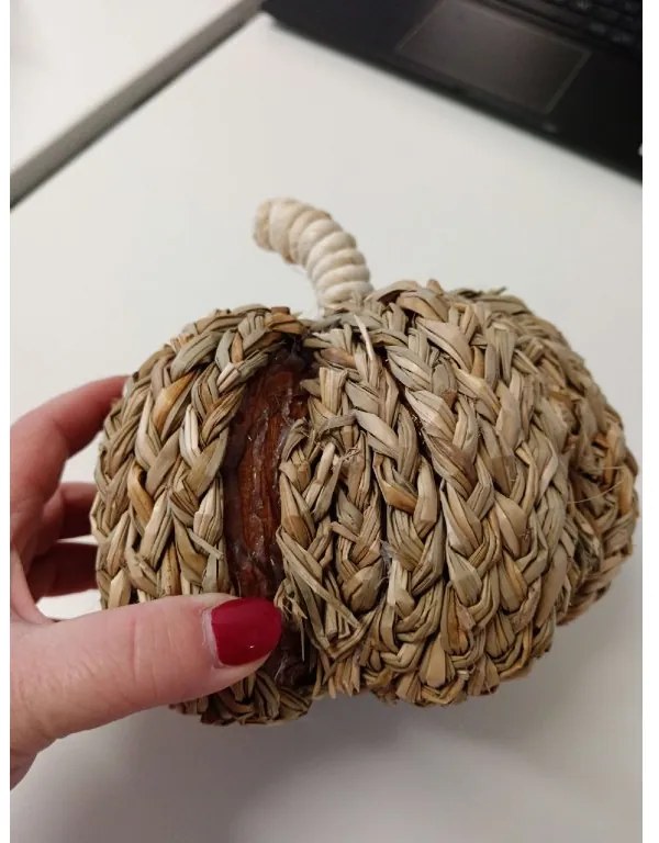 AKCIÓ Dísztök PUMPKIN COACH GRASS II. osztály