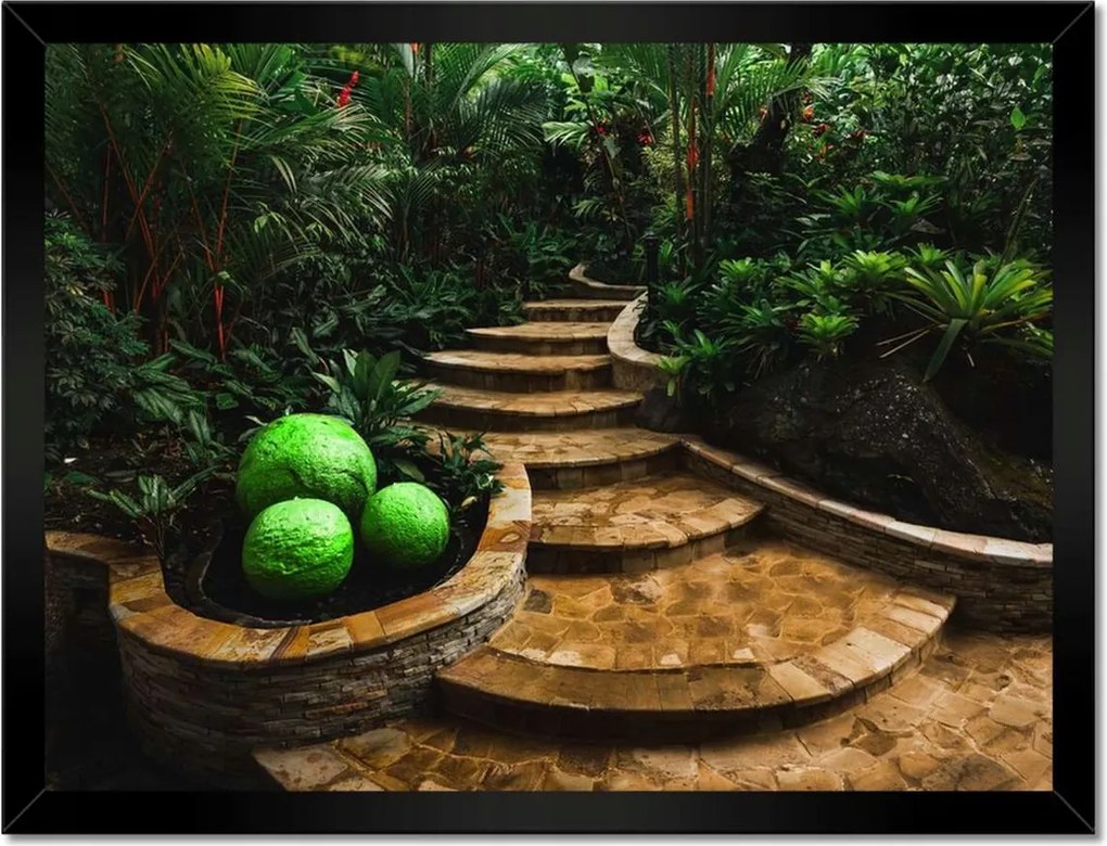 Poszterek keretben 40x30 Golyók a trópusokon