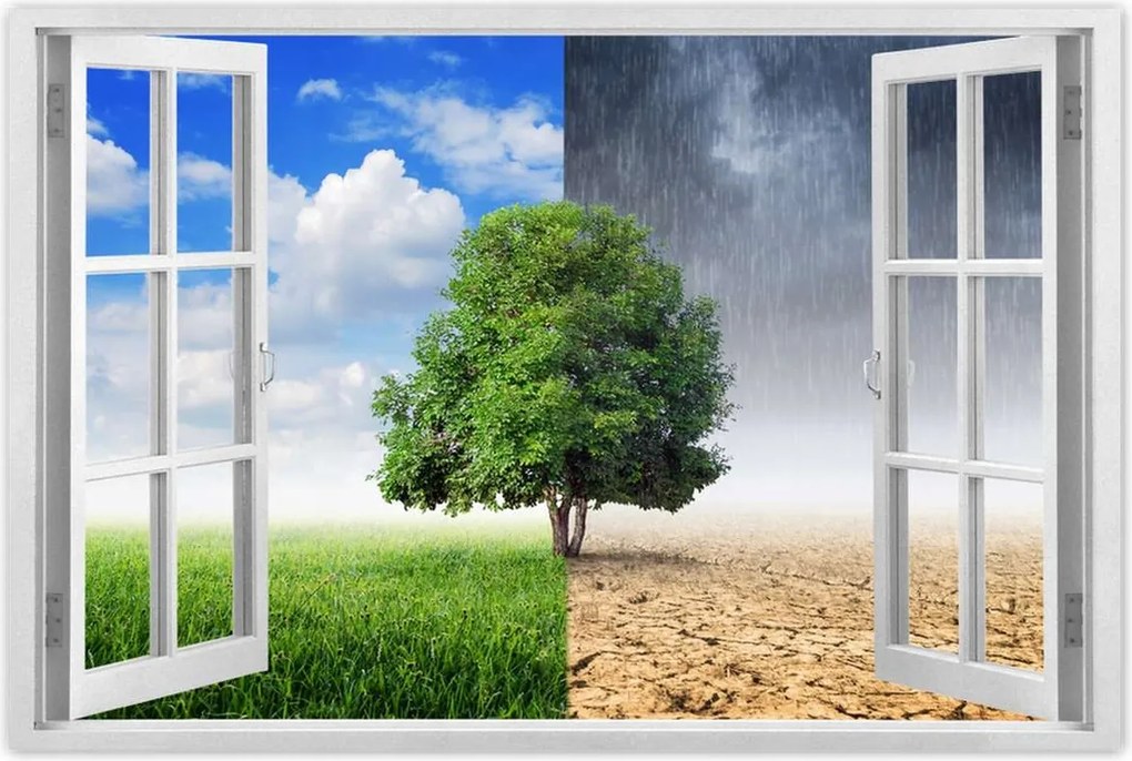 Poszterek 90x60 Esős évszak