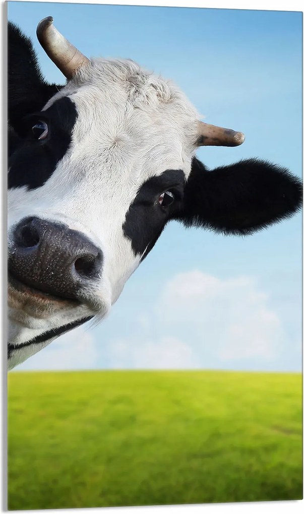 Üveg Vágódeszka 30x52 Tehén a Konyhába