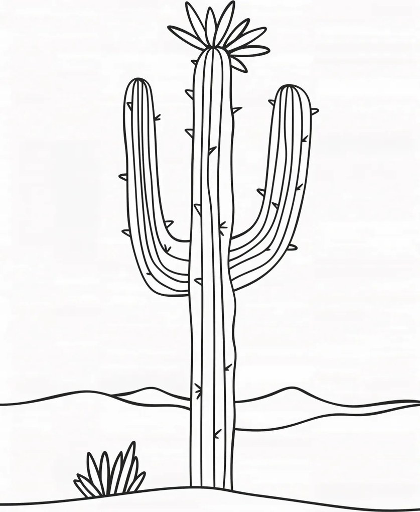 Poszter 67,5x100cm Sivatagi nagyfiú