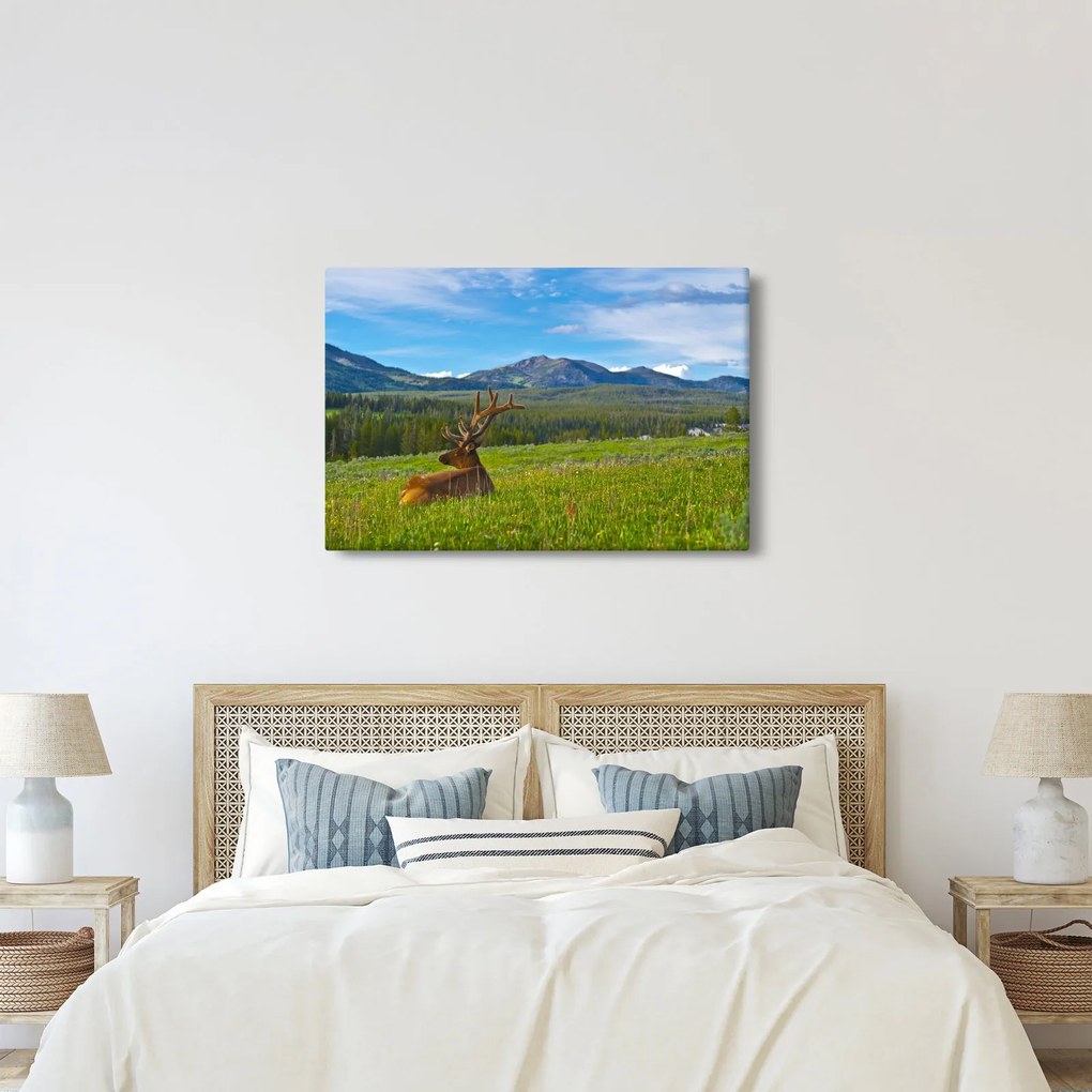 Kép - Szarvas a réten (90x60 cm)