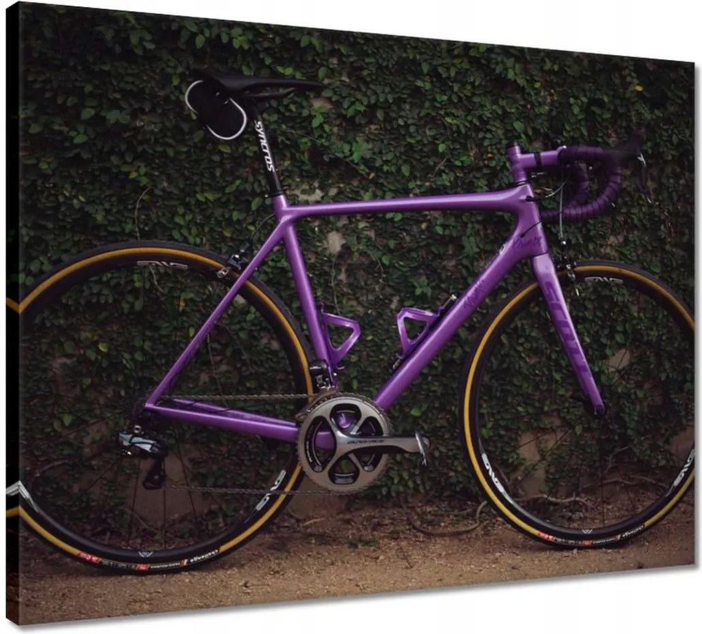 Vászonkép 50x40 Kerékpárok Két kerék