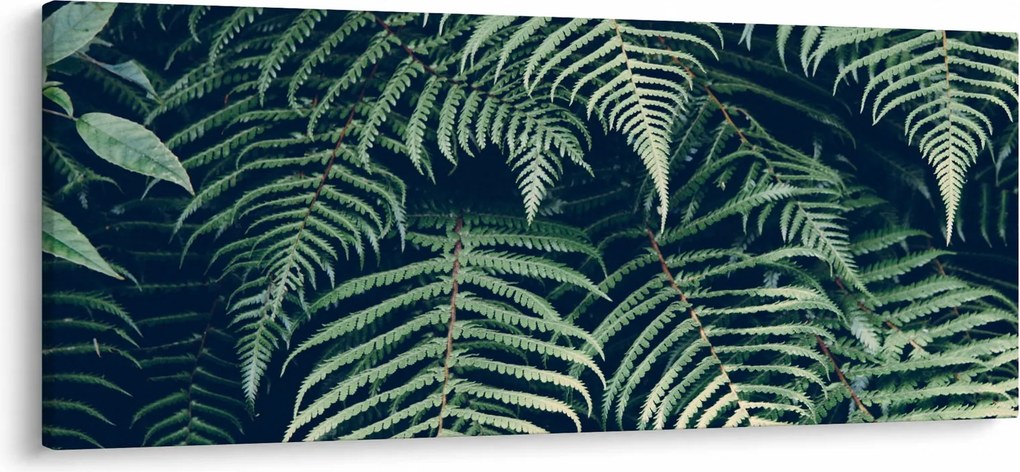 A páfrány levelek képe (120x50 cm)