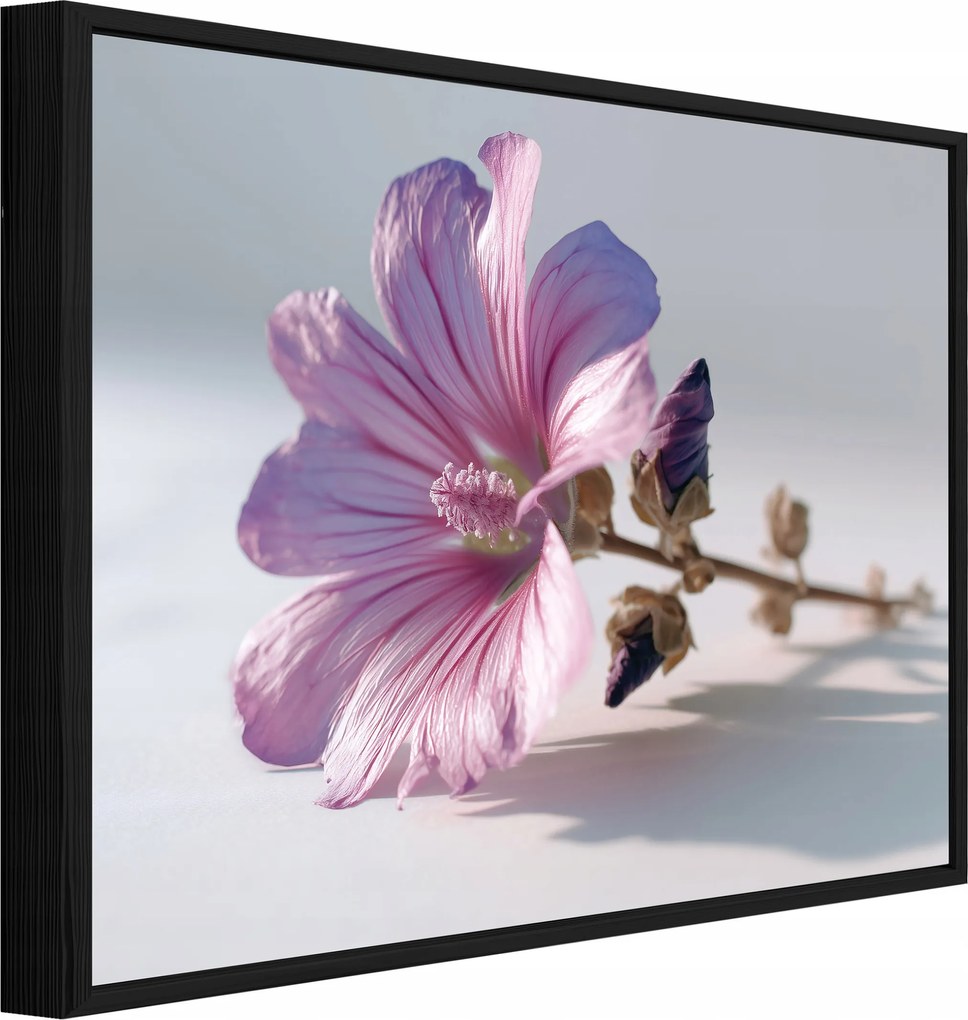 Vászonkép Fekete Keretben Virágok Természet Rózsa Nappali Hálószoba 120x80