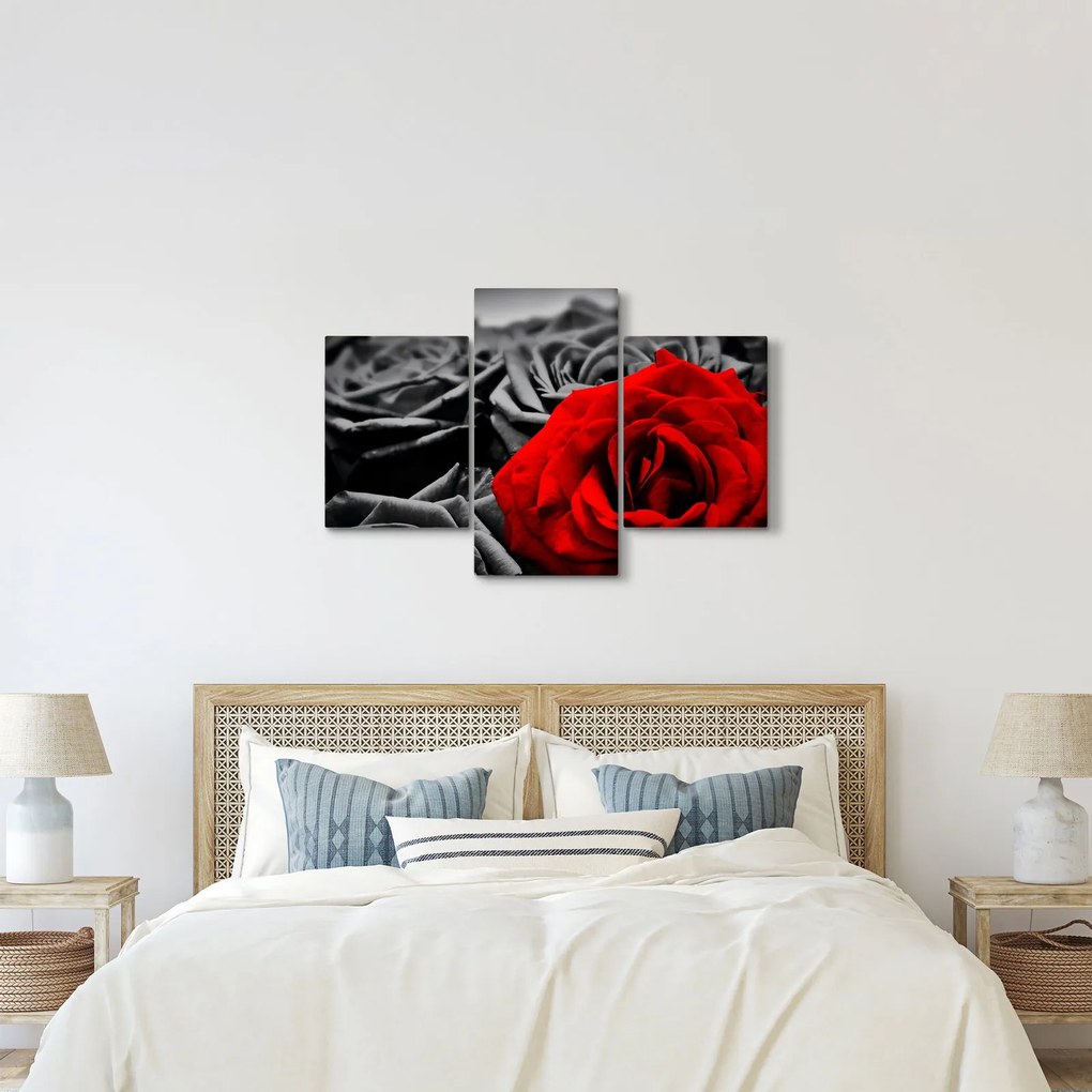 Kép - Rózsák (90x60 cm)