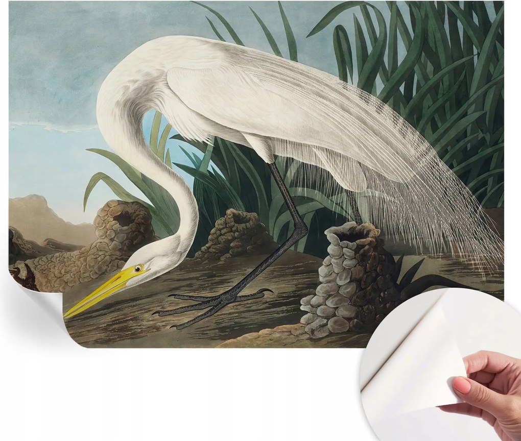 Divatos öntapadós fali tapéta Furnér Fenséges kócsag 208x146 cm