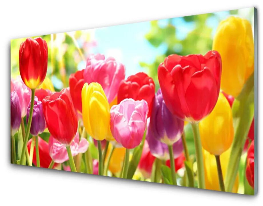 Modern üvegkép Tulipán virágok Plant 140x70 cm