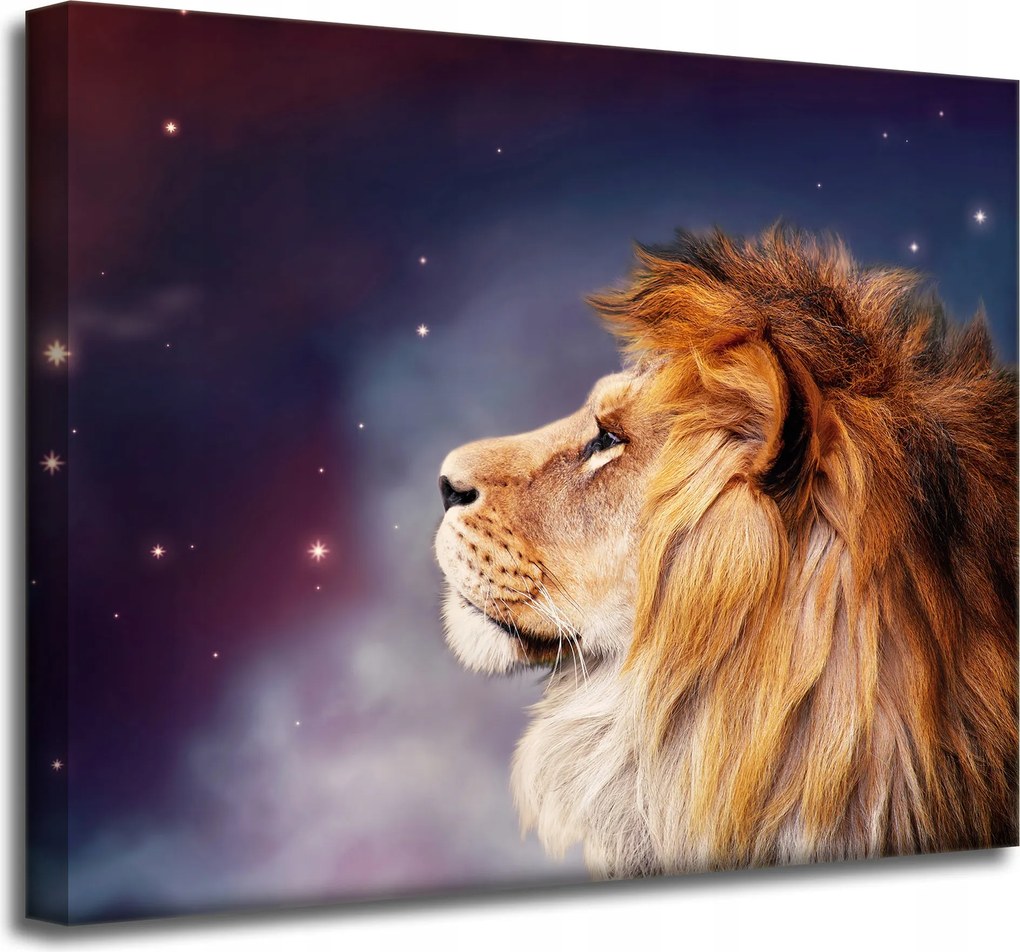 Vászonkép Oroszlán arca a csillagok között 50x40 cm Ideális ajándék
