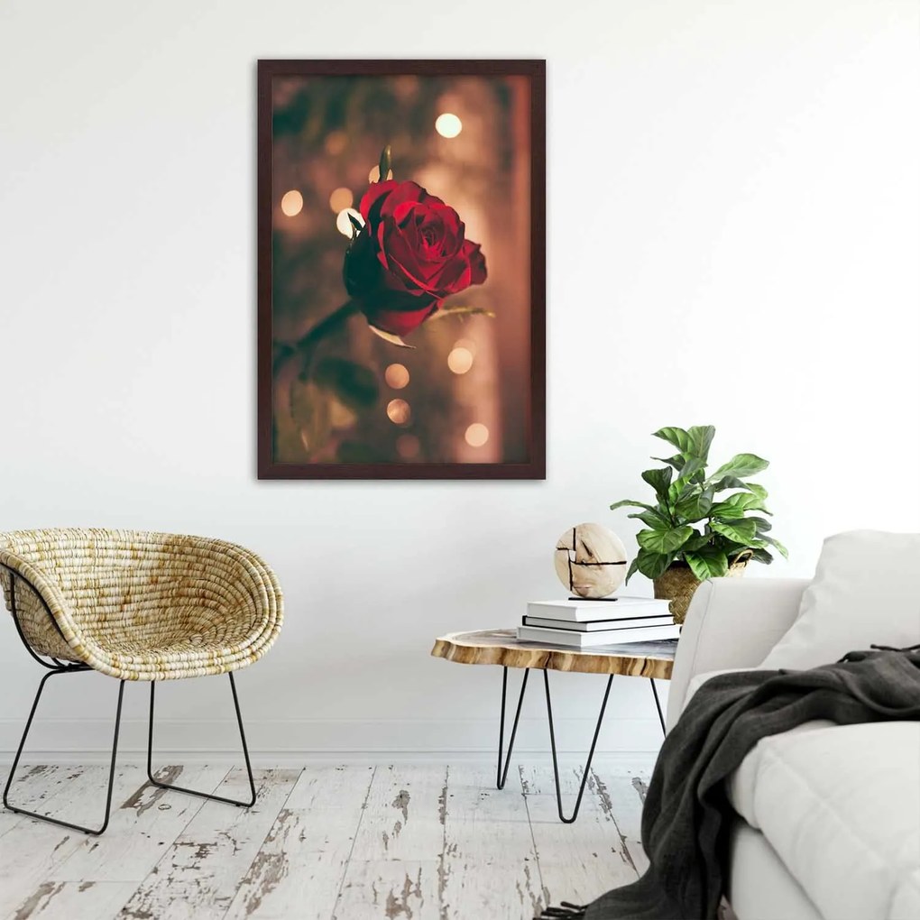 Gario Poszter Piros rózsa virág A keret színe: Fehér, Méret: 40 x 60 cm