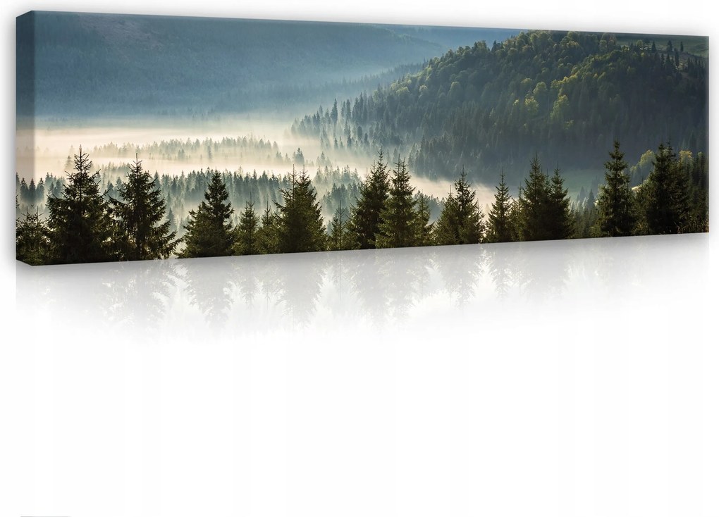 Vászonkép 145x45 Hegyi táj köd hajnal Kárpátok természet nyugalom csend