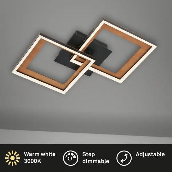 Brilo - LED Dimmelhető felületre szerelhető csillár FRAME 2xLED/11W/230V