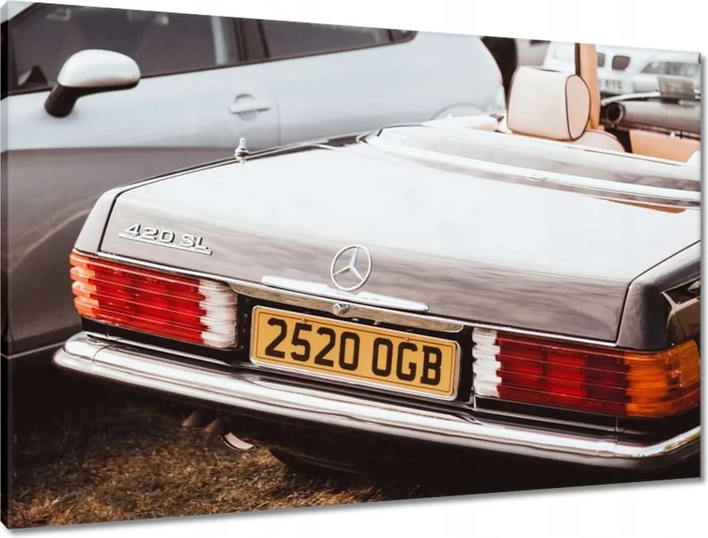 Vászonkép 90x60 Mercedes Autó