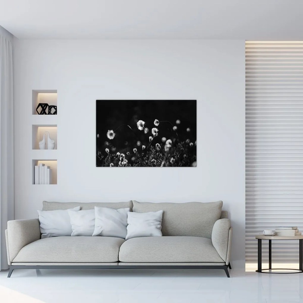 Kép - Gyapotfűvel borított rét N⁰1 (90x60 cm)