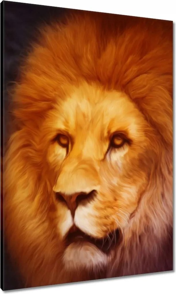 Vászonkép 70x100 Oroszlánkirály