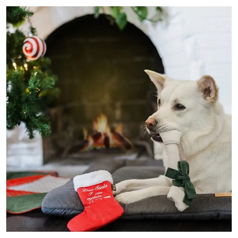 Játék kutyáknak Socks with surprise - P.L.A.Y.