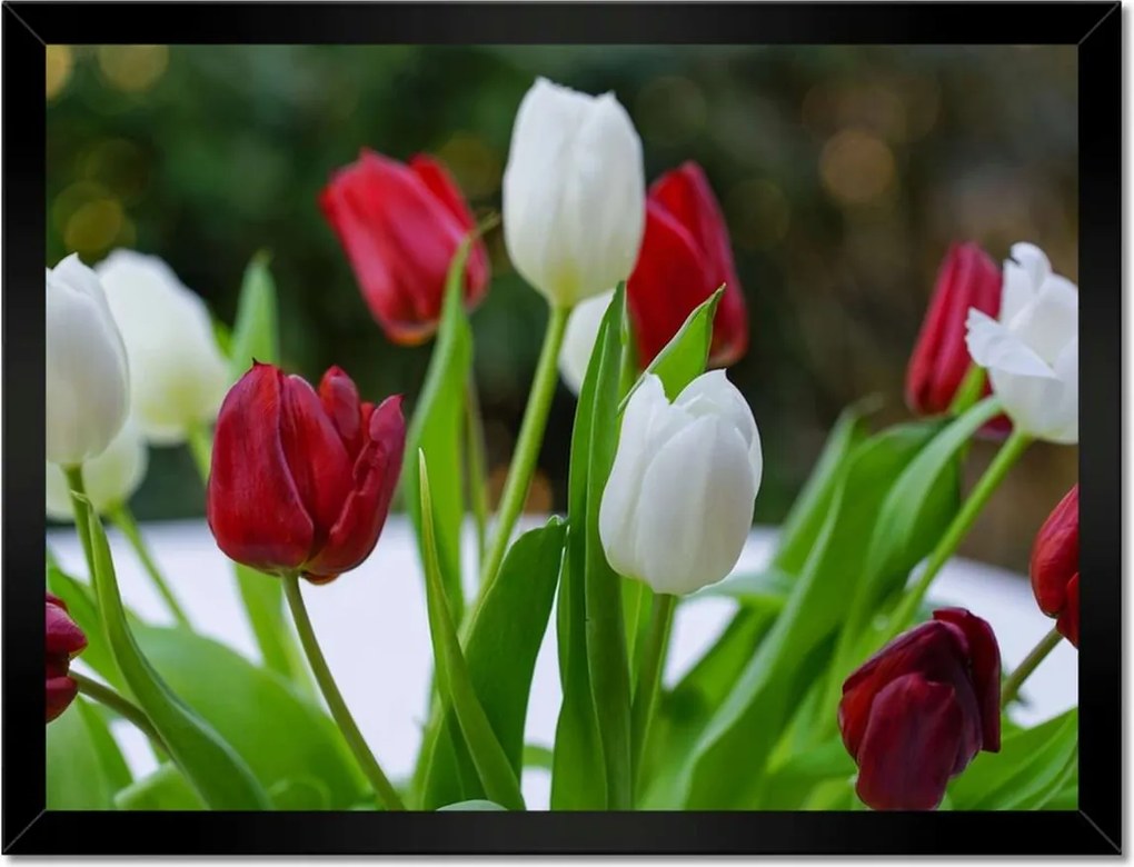 Poszterek keretben 40x30 Tulipánok Virágok