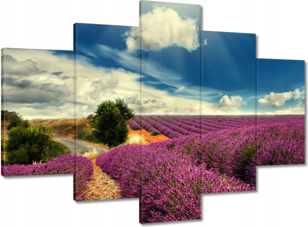 Festmények 150x105 Levendula tájkép