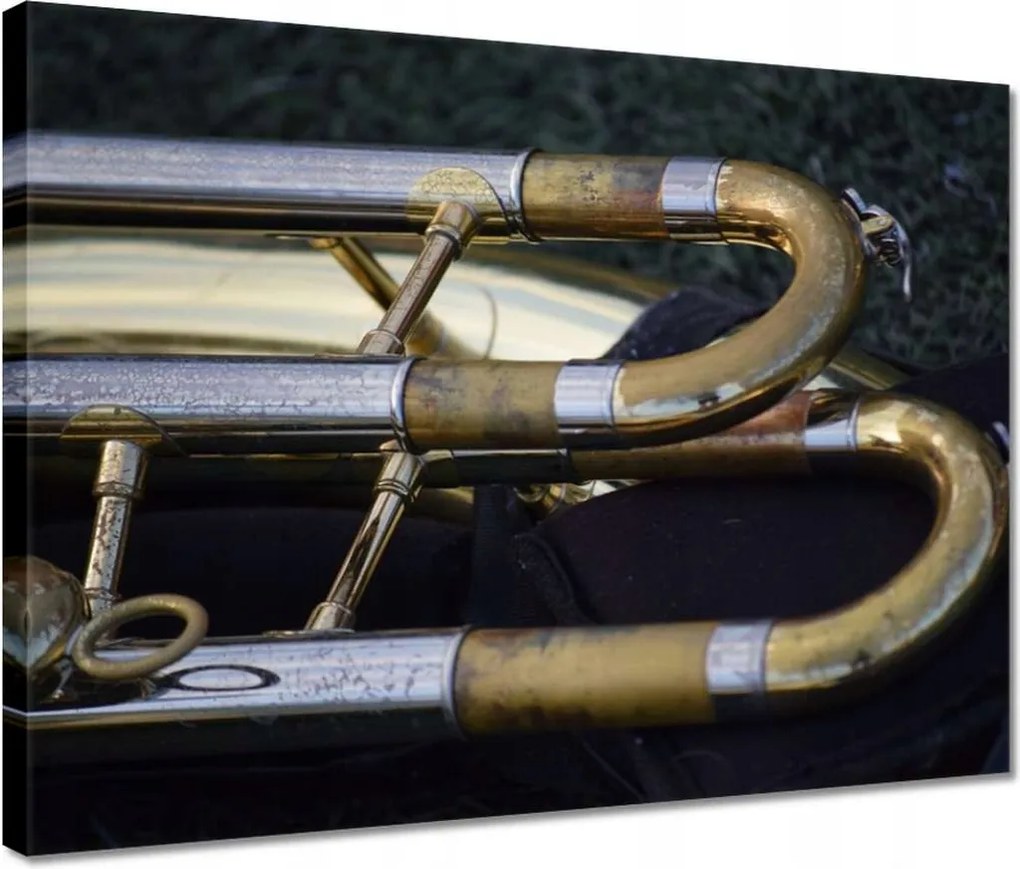 Vászonkép 40x30 Trombita