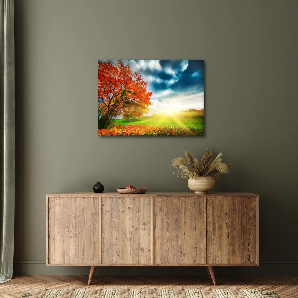 Napsütésben fürdő táj képe (70x50 cm)