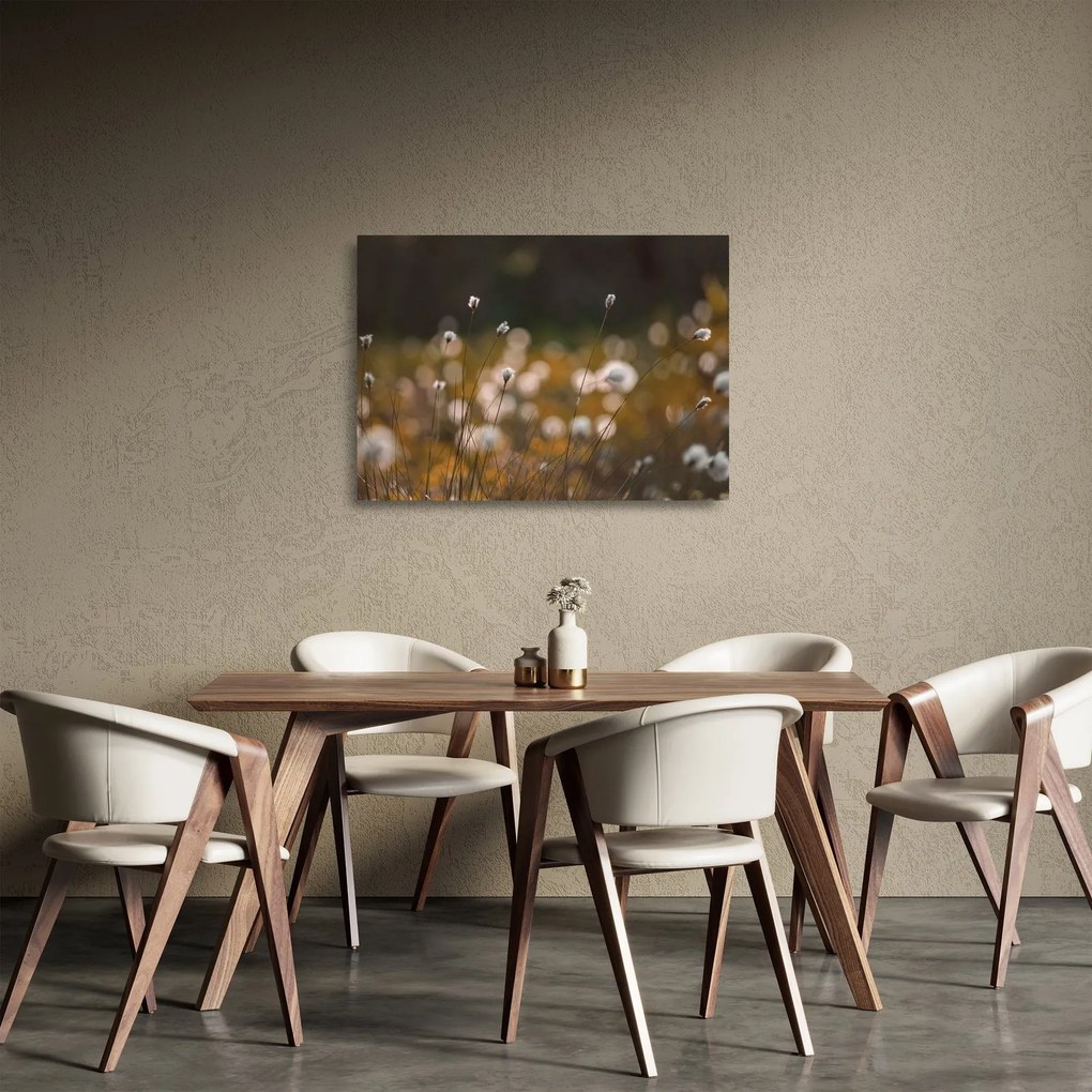 Üveg kép - Gyapotfűvel borított rét N⁰2 (70x50 cm)