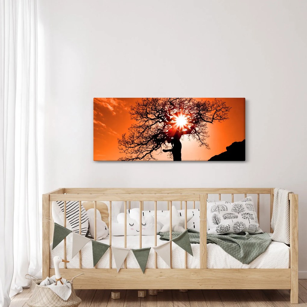 Kép - Tölgy napnyugtakor (120x50 cm)