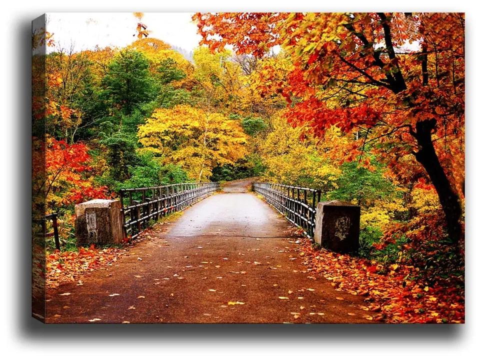 Autumn Bridge kép, 70 x 50 cm - Tablo Center