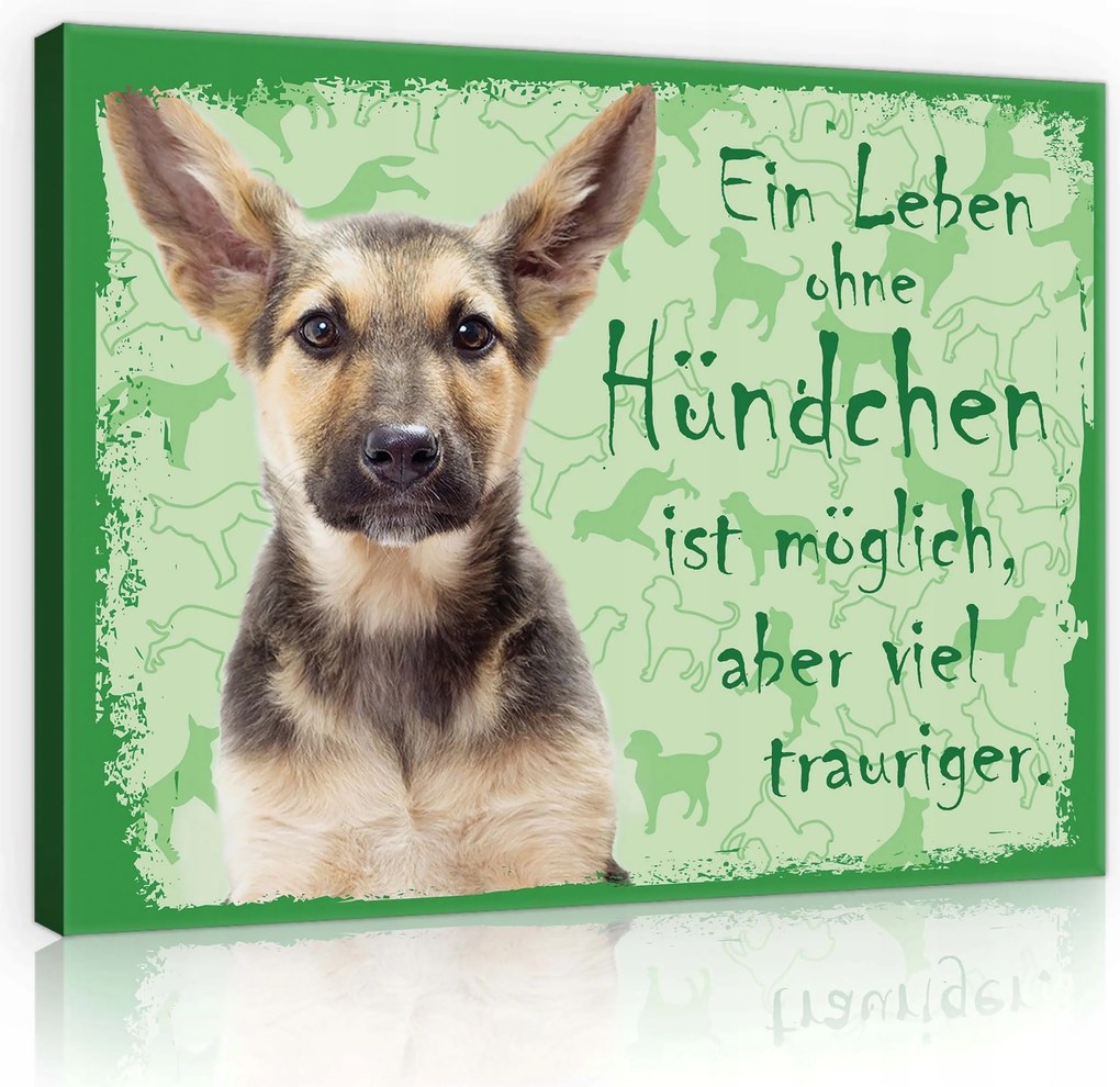 Vászonkép 80x60 Kiskutya kutya háziállat szerelem élet szomorú aranyos