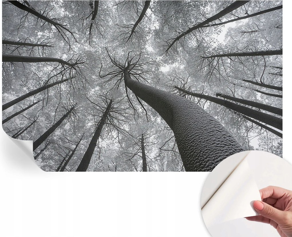 Öntapadós fotótapéta Nappali és Hálószoba Irodába Téli tájkép 416x254