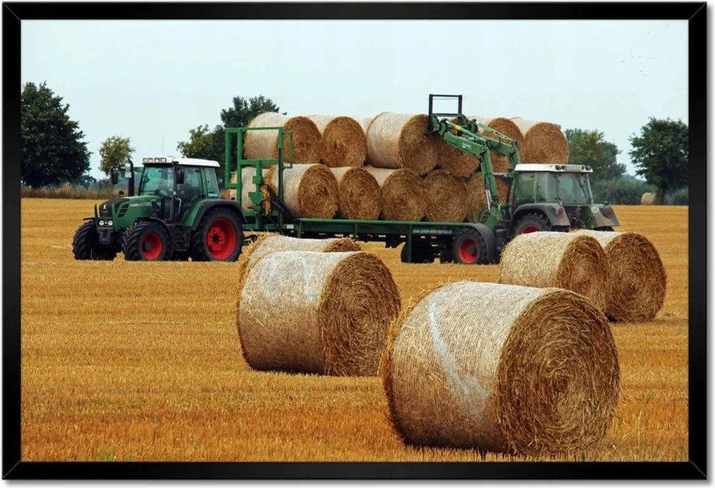 Poszterek keretben 60x40 Aratás Szalma Bálna Traktorok