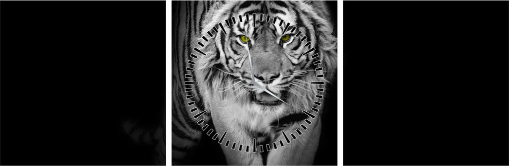 Kép - Sárga szemű tigris (órával) (90x30 cm)