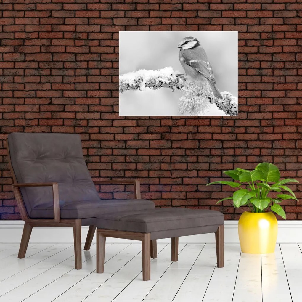 Üveg kép - Egy madár egy ágon (70x50 cm)