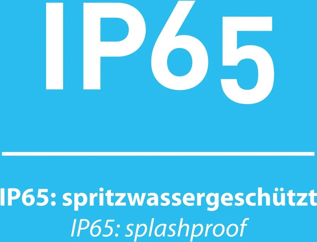Paul Neuhaus modern kültéri fali lámpa robert antracit pln9676-13