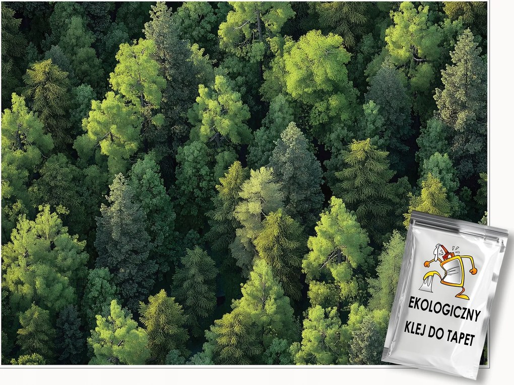 Fotótapéta Erdő Fák Természet Hálószoba Nappali Tapéta Flizelina 300x210