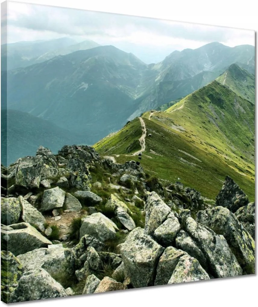 Vászonkép 40x40 Tátra csúcs