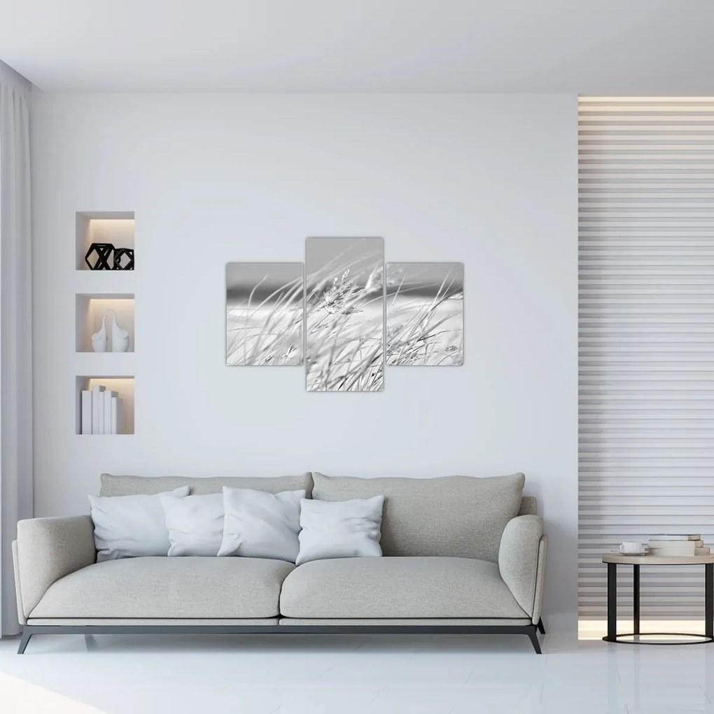 Kép - Strandfű (90x60 cm)