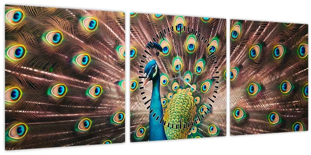 Kép - Páva (órával) (90x30 cm)