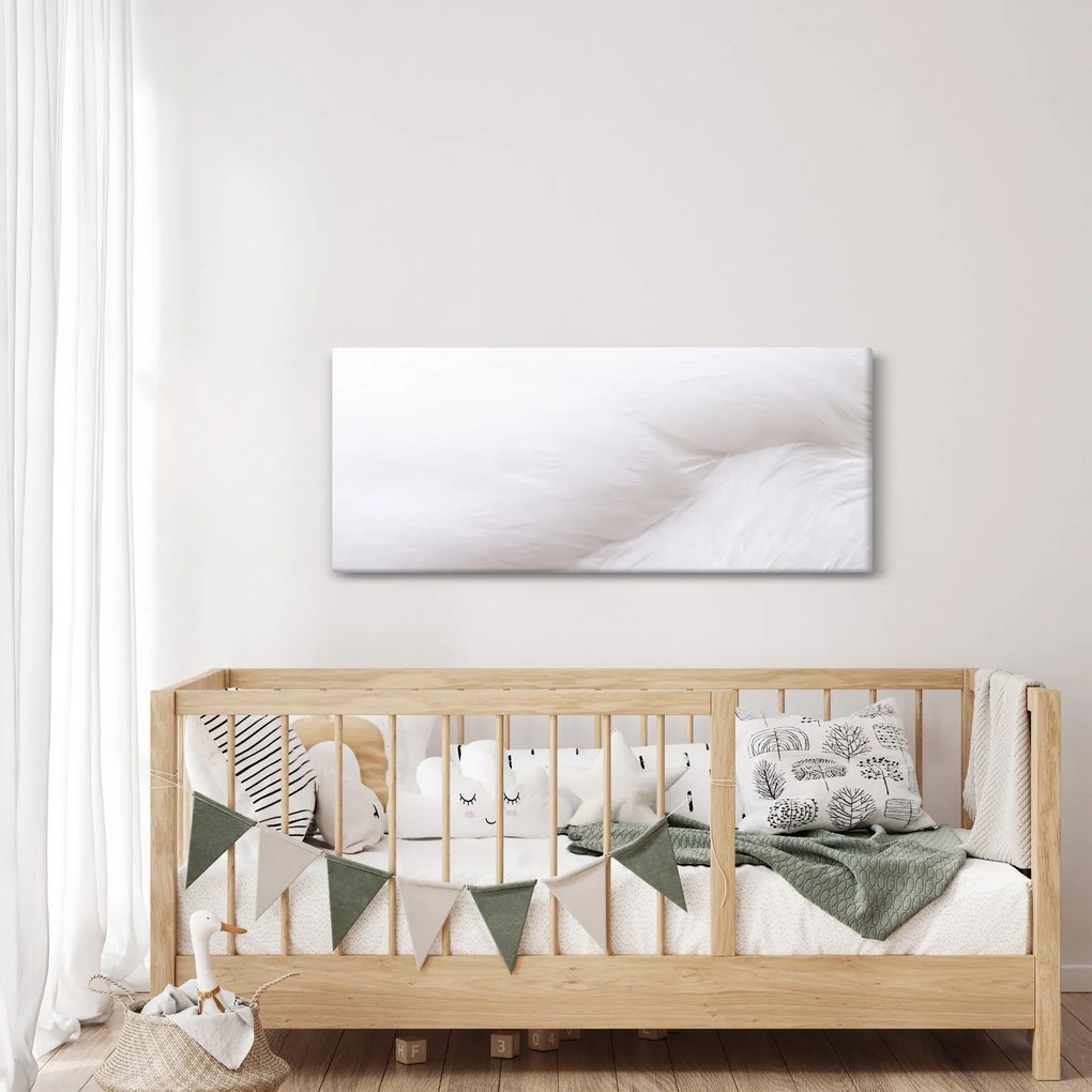 Kép - Fehér toll (120x50 cm)