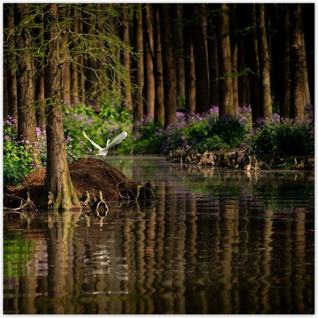 Poszterek 100x100 Tájkép Látvány