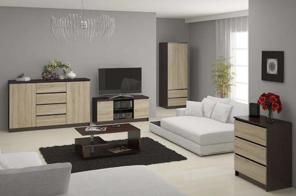 TV asztal Darian  (wenge + szonoma tölgy). Akció -13%. 1069383