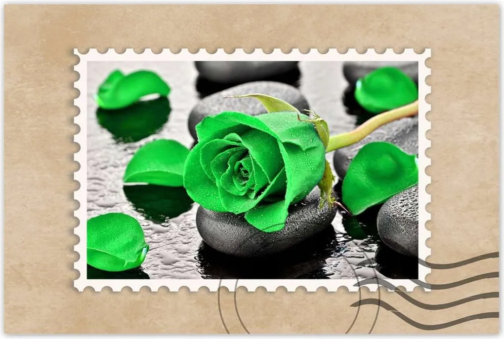 Poszterek 90x60 Zöld rózsa kövek