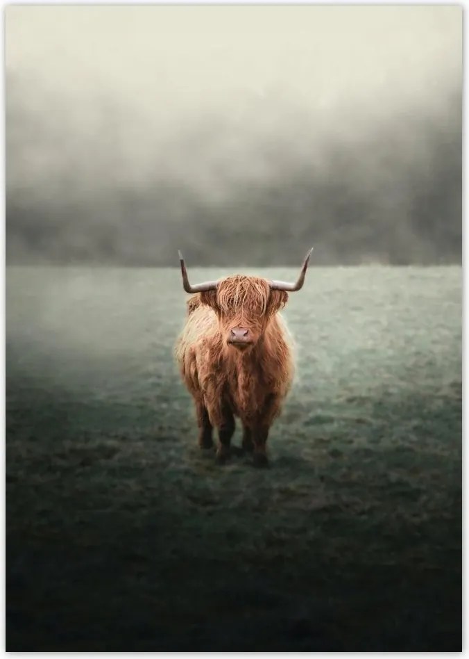 Poszterek A5 Pion Mint a szarvak Hegyi rét