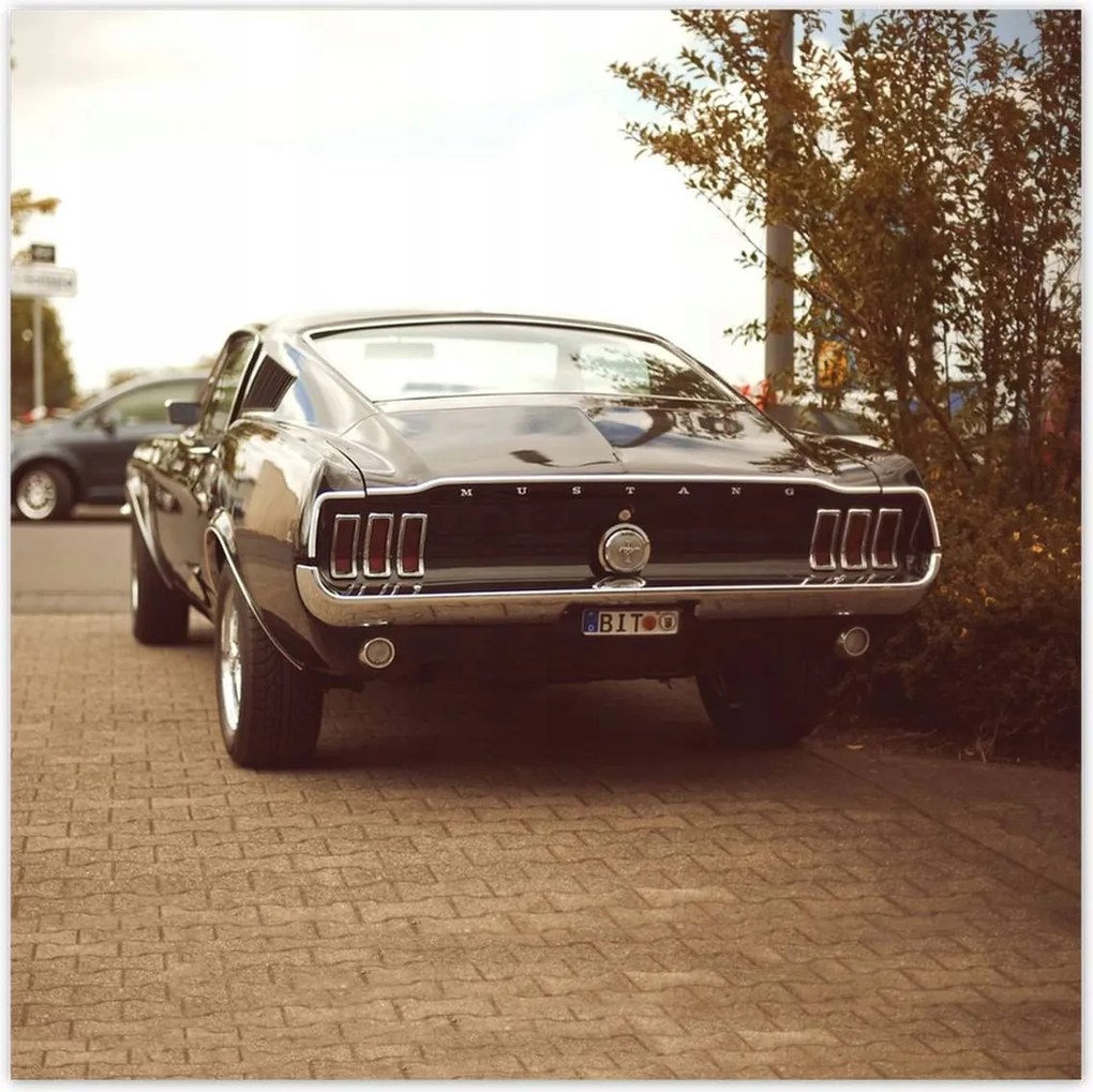 30x30-as Ford Mustang fekete-fehér poszterek