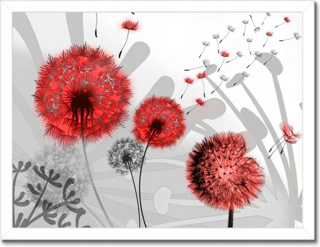 Poszterek keretben 40x30 Piros pitypangok