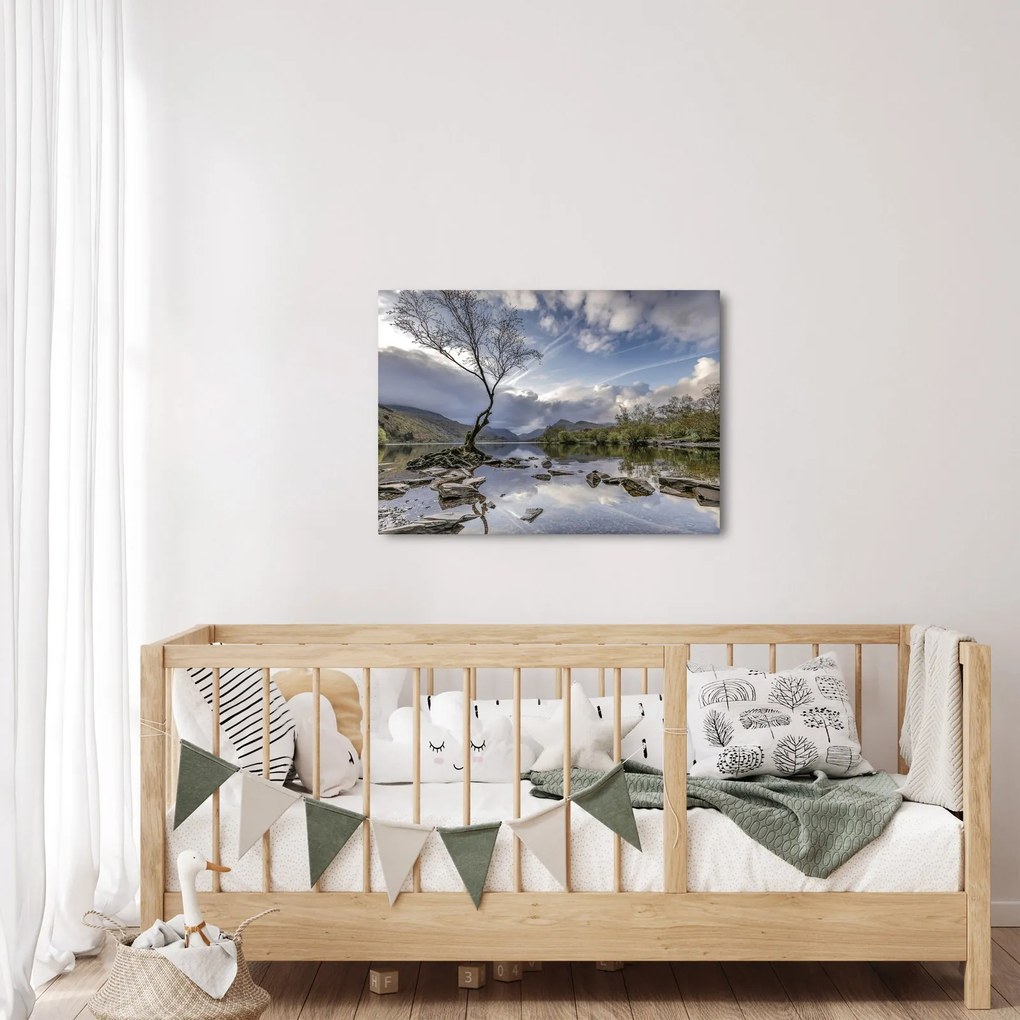 Folyó a fa mögött képe (70x50 cm)