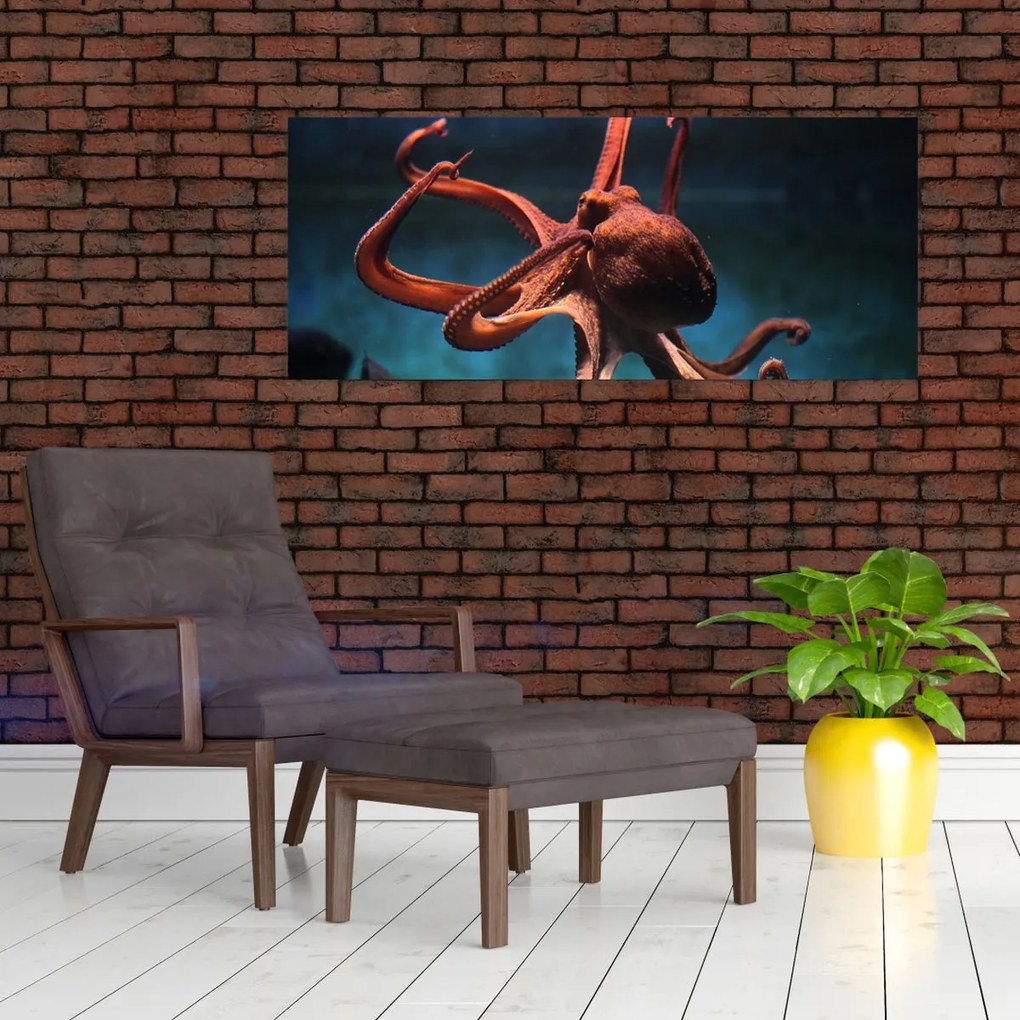 Kép - Octopus (120x50 cm)